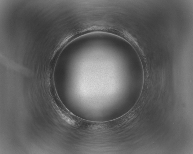 X0000053020106200507081336