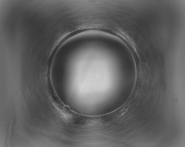 X0000053020107200507081336
