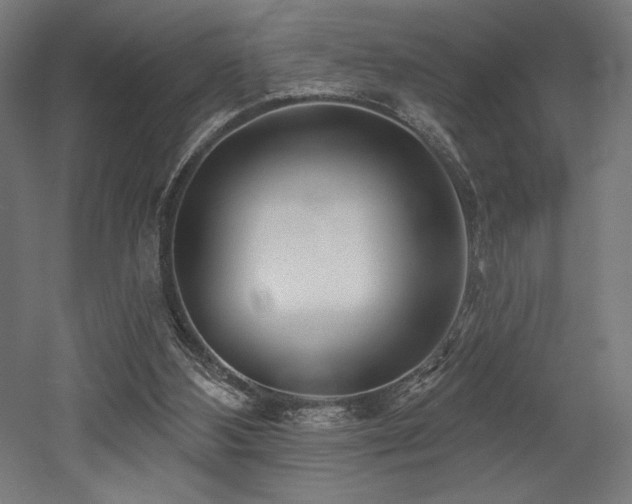 X0000053020108200507081336