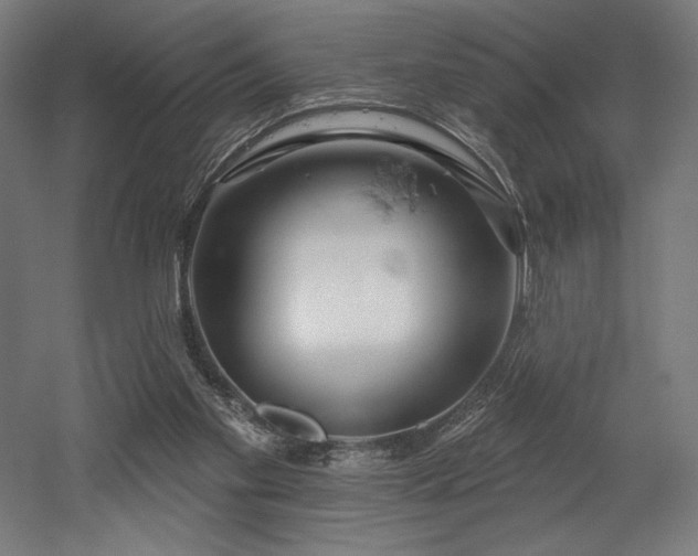 X0000053020109200507081336