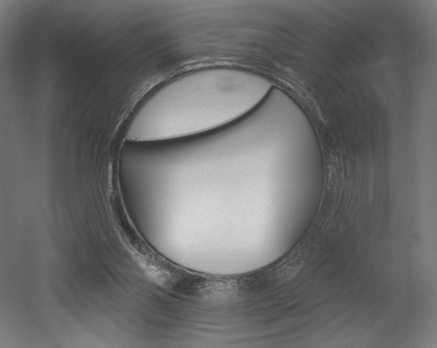 X0000053020110200507081336