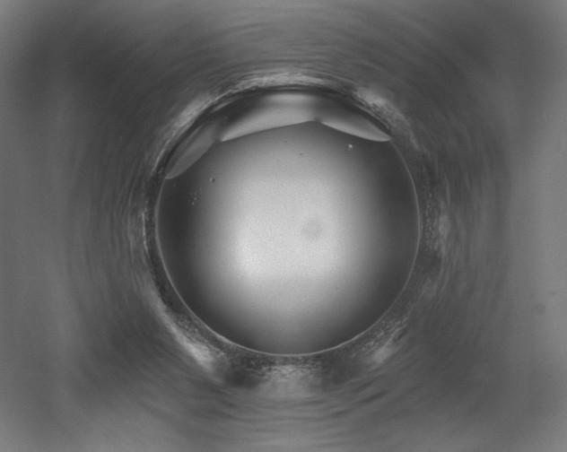 X0000053020111200507081336