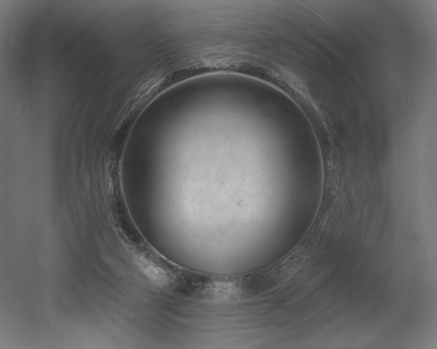 X0000053020114200507081336