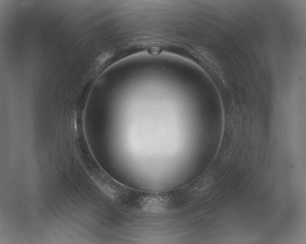 X0000053020115200507081336