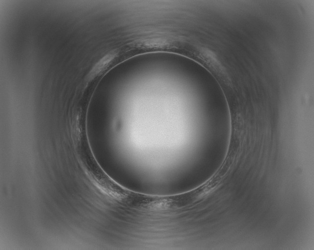 X0000053020116200507081336