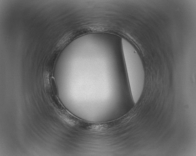 X0000053020117200507081336