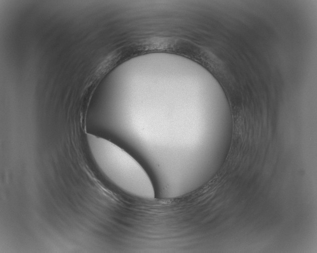 X0000053020118200507081336
