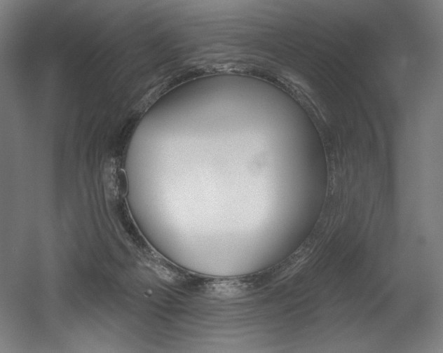 X0000053020121200507081336