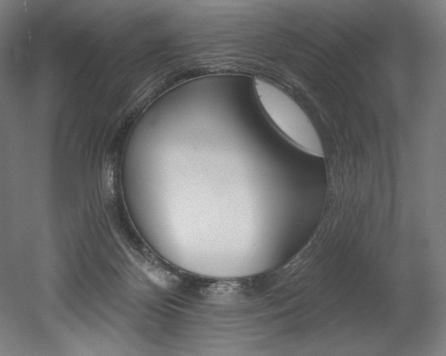 X0000053020124200507081336