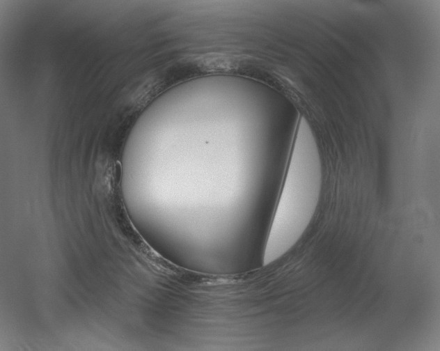 X0000053020125200507081336
