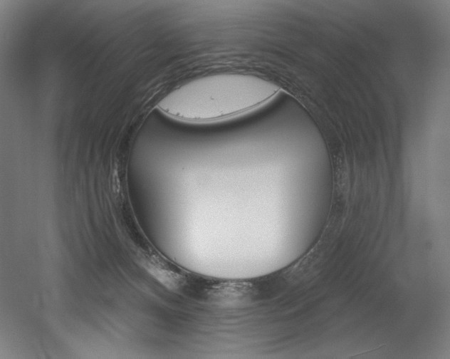X0000053020128200507081336