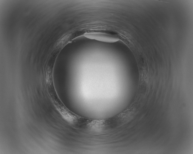 X0000053020138200507081336