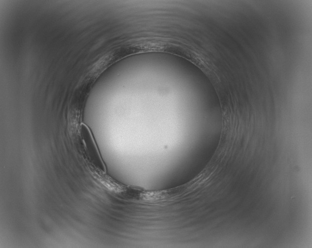 X0000053020141200507081336
