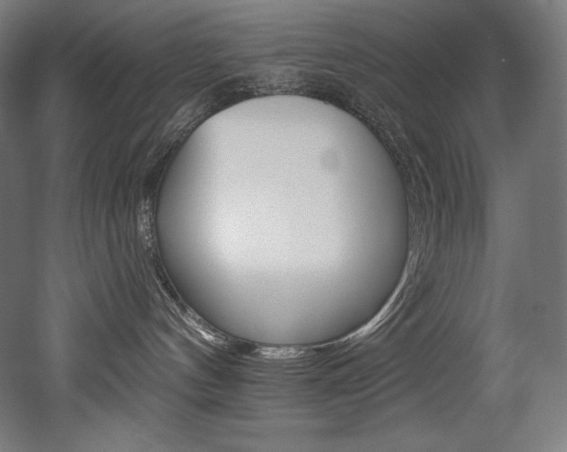 X0000053020144200507081336