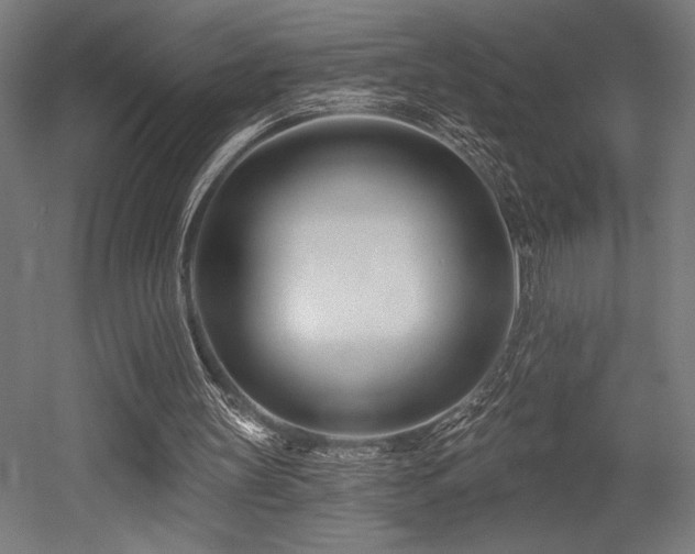 X0000053020147200507081335