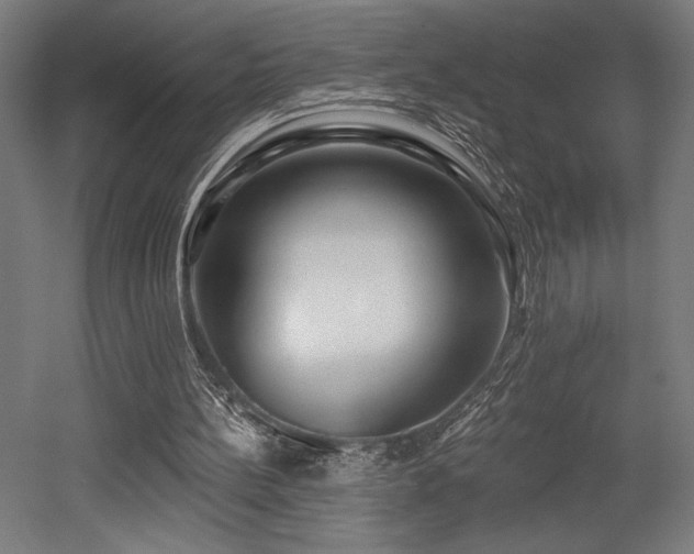 X0000053020148200507081335