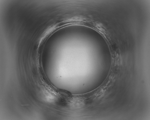 X0000053020149200507081335
