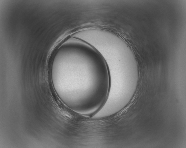 X0000053020150200507081335