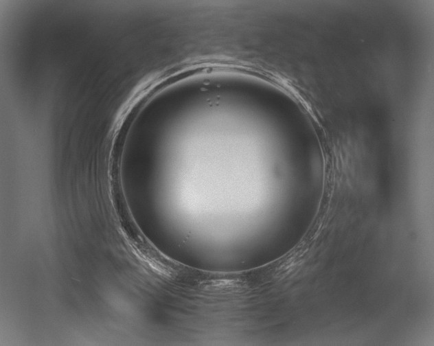X0000053020151200507081335