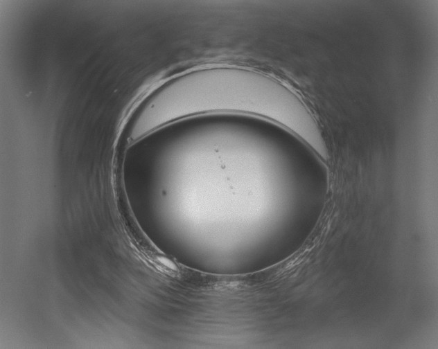 X0000053020152200507081335