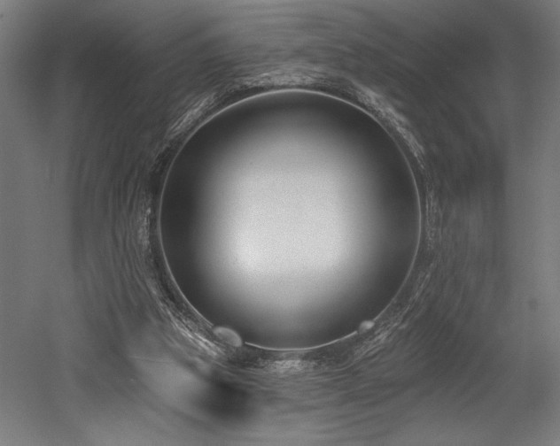 X0000053020153200507081335