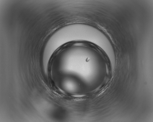 X0000053020154200507081335