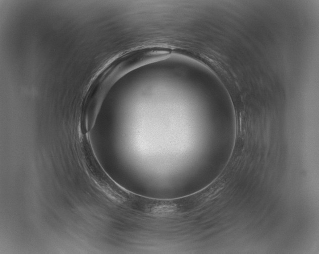 X0000053020156200507081335
