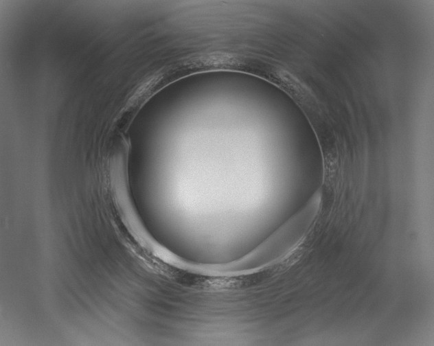 X0000053020158200507081335