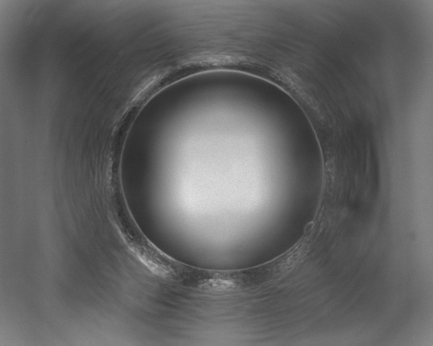 X0000053020159200507081335