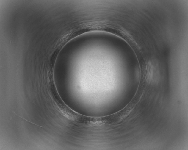 X0000053020161200507081335