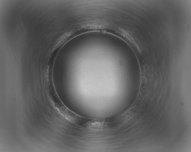 X0000053020163200507081335