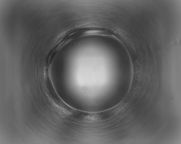 X0000053020164200507081335