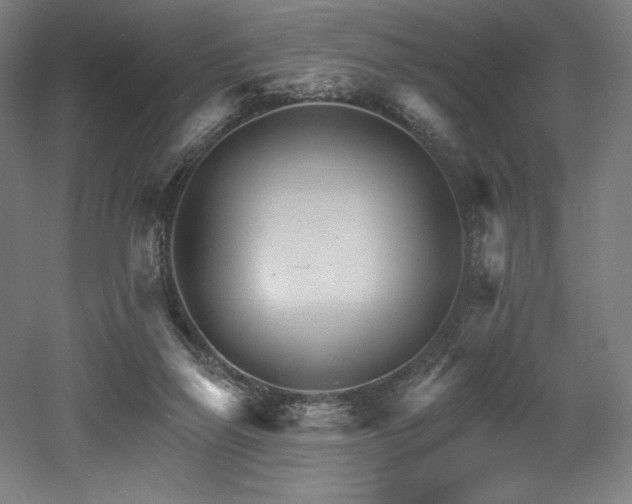 X0000053020165200507081335
