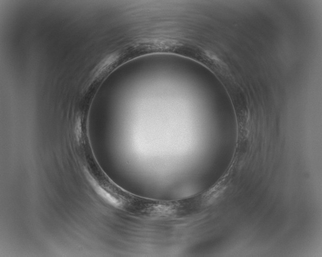 X0000053020166200507081335