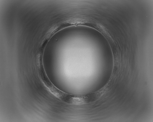 X0000053020167200507081335