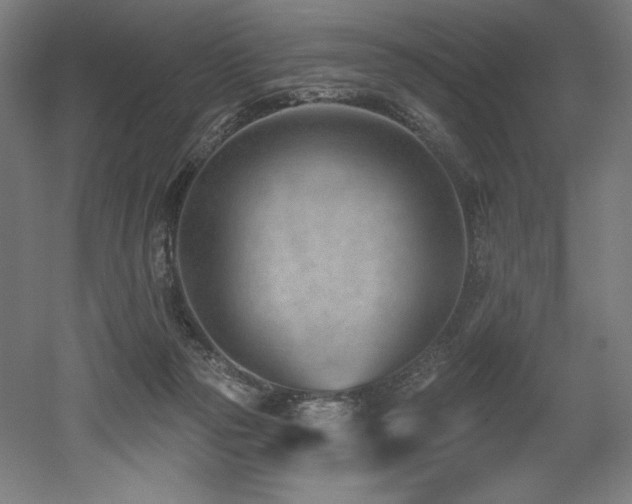 X0000053020169200507081335