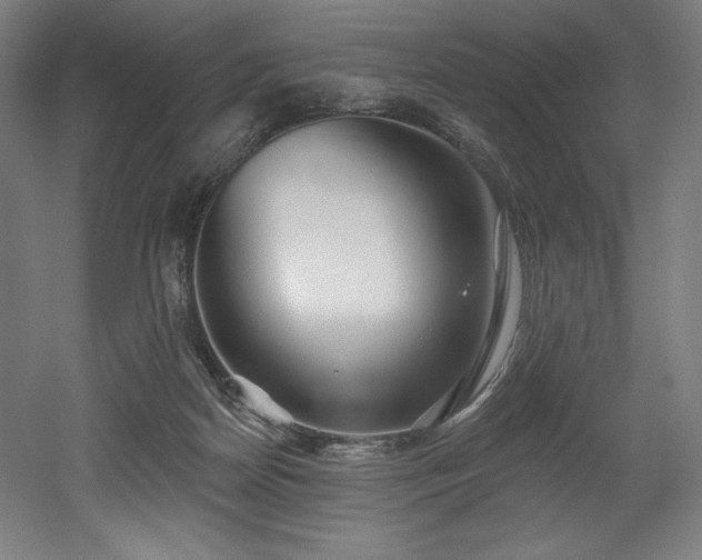 X0000053020170200507081335