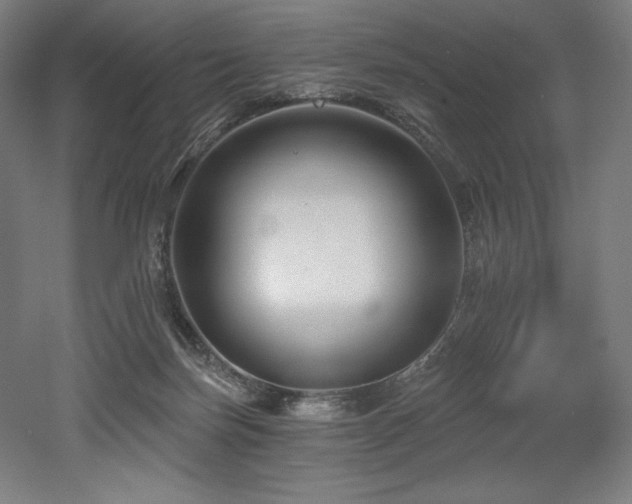 X0000053020171200507081335