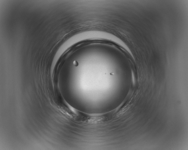 X0000053020172200507081335