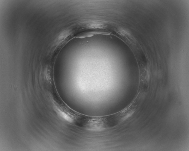 X0000053020175200507081335