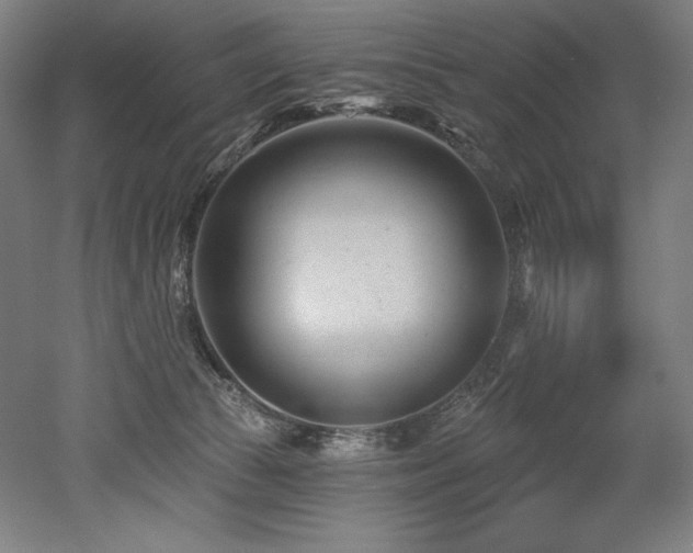 X0000053020177200507081335