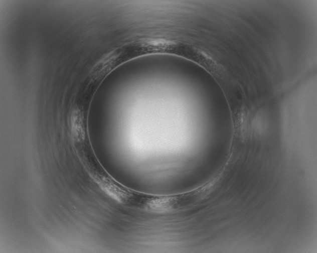 X0000053020178200507081335