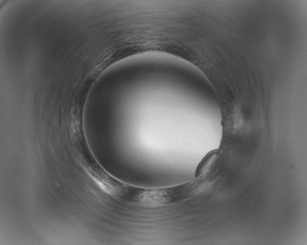 X0000053020179200507081335