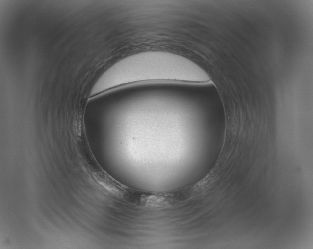X0000053020180200507081335