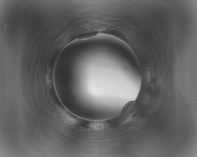 X0000053020181200507081335