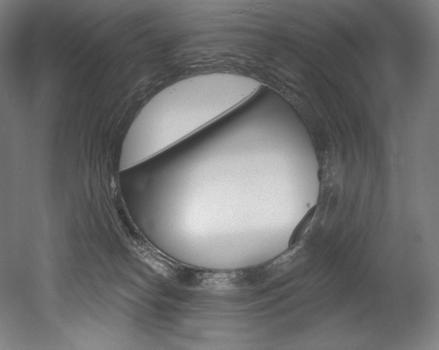X0000053020182200507081335