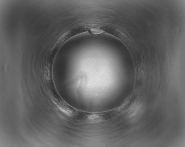 X0000053020183200507081335