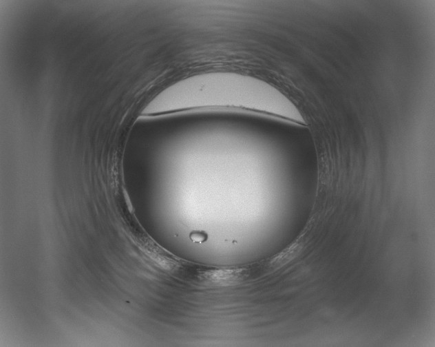 X0000053020184200507081335