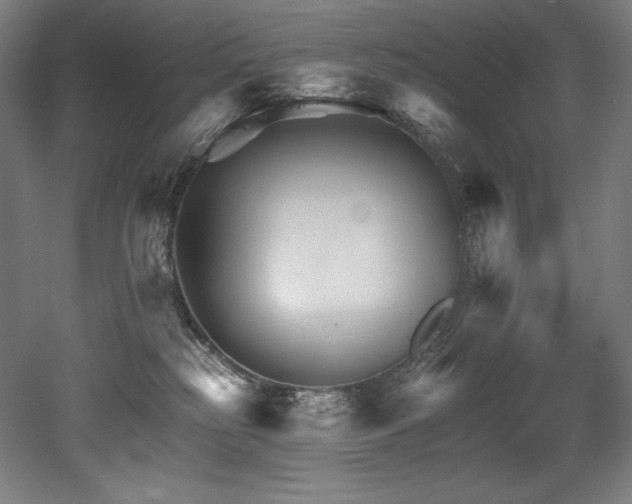 X0000053020185200507081335