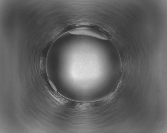 X0000053020186200507081335